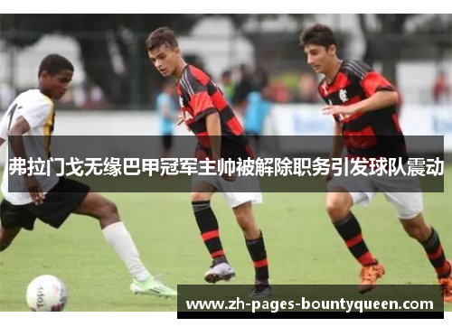 弗拉门戈无缘巴甲冠军主帅被解除职务引发球队震动